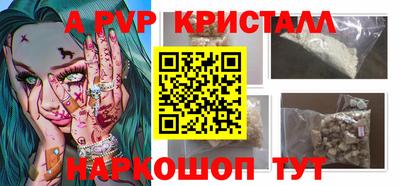 кокс Кингисепп