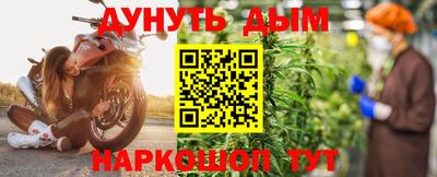 кокс Кингисепп