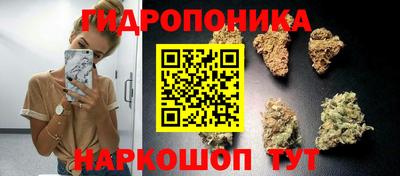 ГАЛЛЮЦИНОГЕННЫЕ ГРИБЫ Кимры