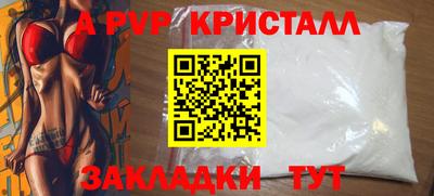 кокс Кингисепп